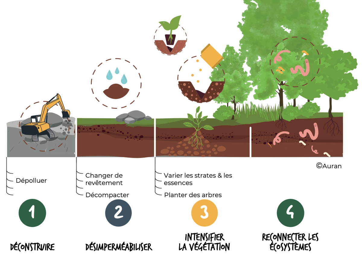 đ±Â Gradient de renaturation : la nature refait son nid