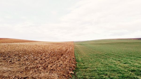 Loi climat : La clef du sol