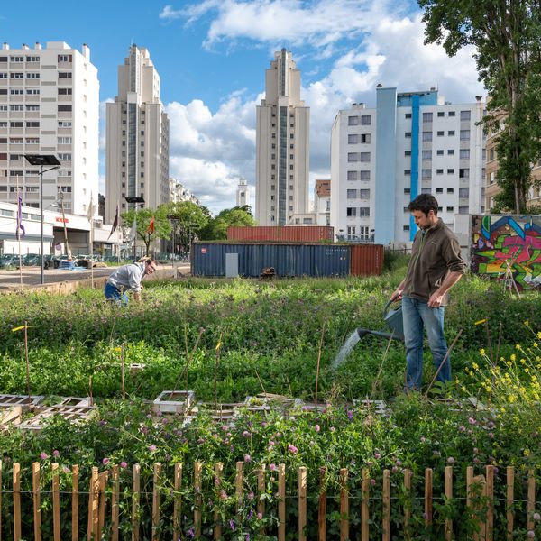 🌱 Champ des possibles