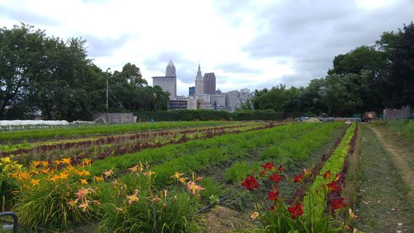 Cleveland : déclin et alternatives